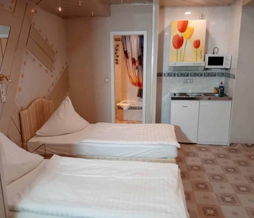 Doppelzimmer Apartment Schwetzingen moderne Möblierung und Design